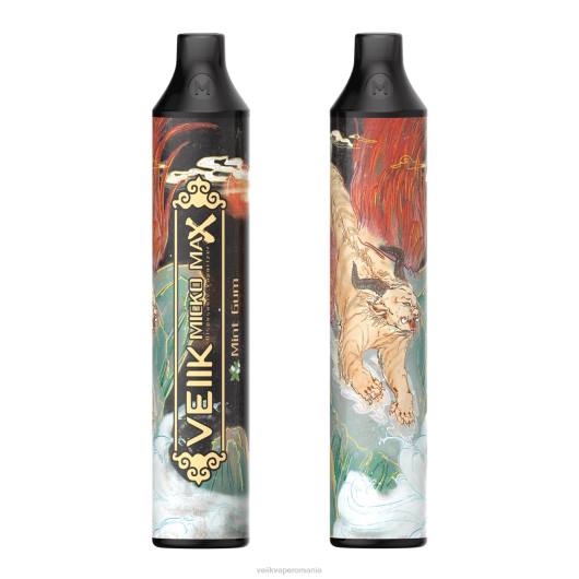 VEIIK Micko MAX vape de unică folosință 1500 pufuri gumă de mentă - VEIIK vape micko q Romania LT8V50